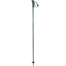 Salomon Artic Womens Ski Poles