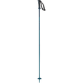 Salomon Arctic Ski Poles