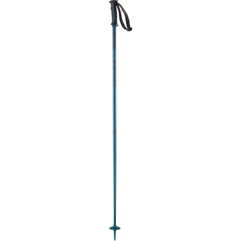 Salomon Arctic Ski Poles