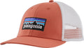 Patagonia P-6 Logo Lo Pro Trucker Hat