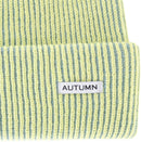 Autumn Cord Beanie