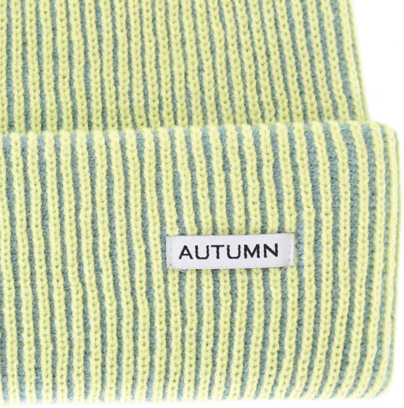 Autumn Cord Beanie