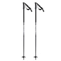 Head Kore Ski Pole