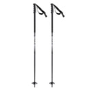 Head Kore Ski Pole