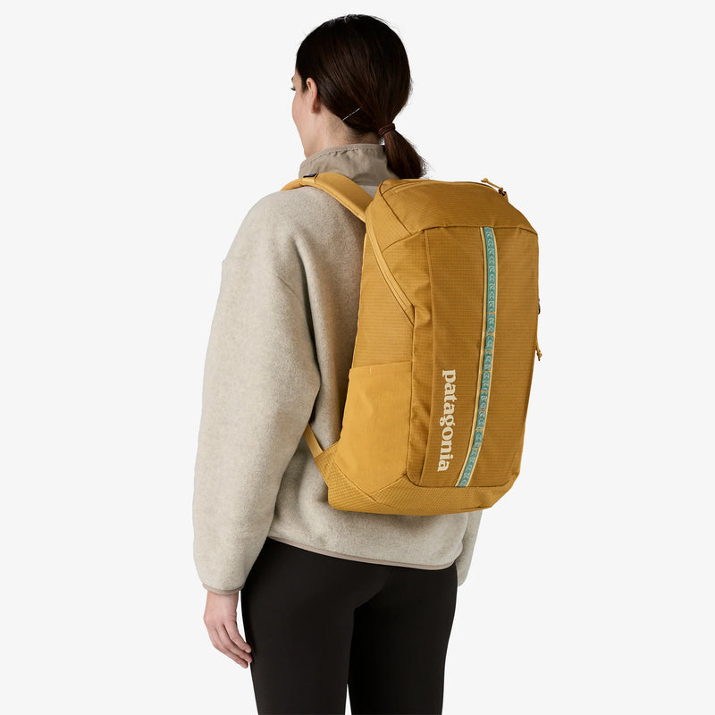 Patagonia Black Hole Pack