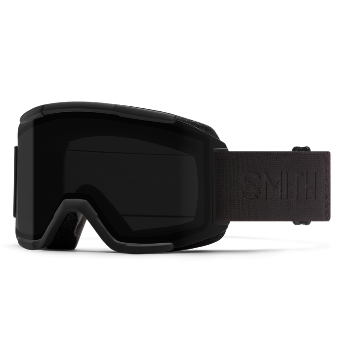 Smith Squad Goggle