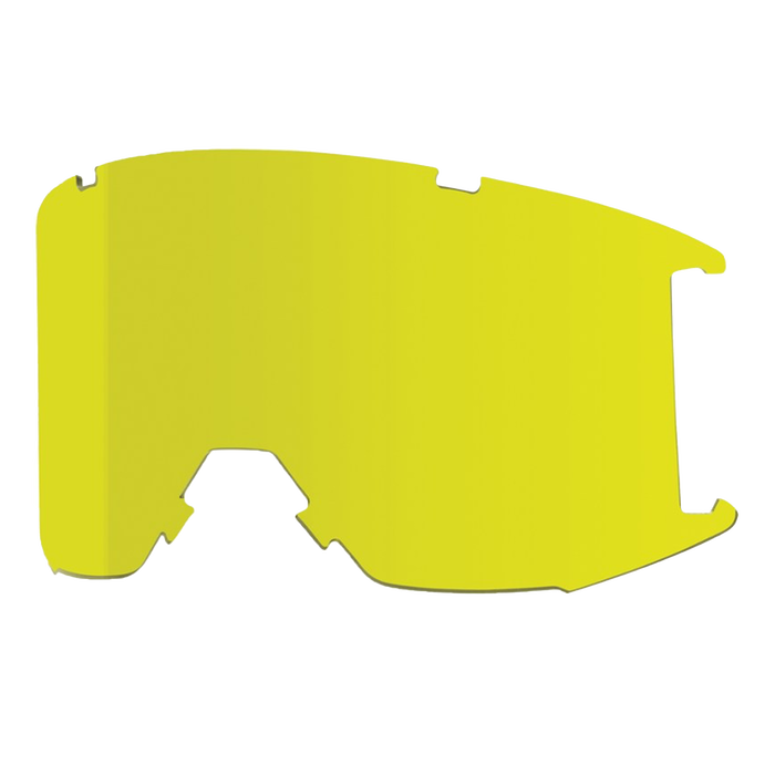 Smith Squad Goggle