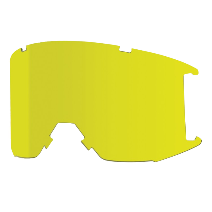 Smith Squad Goggle